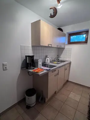 Küche/Küchenzeile in der Unterkunft Ferienwohnung Steinpilz