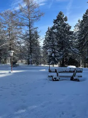 Harzer Weitblick im Winter