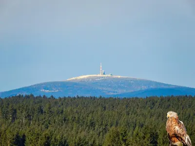 Ein allgemeiner Bergblick oder ein Berglick von des Ferienhauses aus
