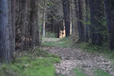 Naturlandschaft in der Nähe des Ferienhauses
