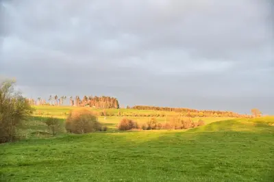Grundriss der Unterkunft Auerhahn Ferienhäuser Auerhahn 602