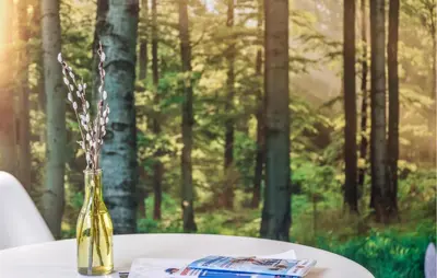 Naturlandschaft in der Nähe der Ferienwohnung