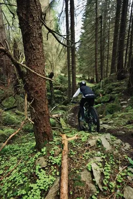 Gäste, die in der Unterkunft Harztrail Lodge übernachten