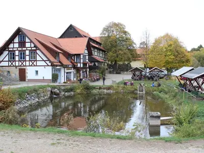 Naturlandschaft in der Nähe des Ferienhauses