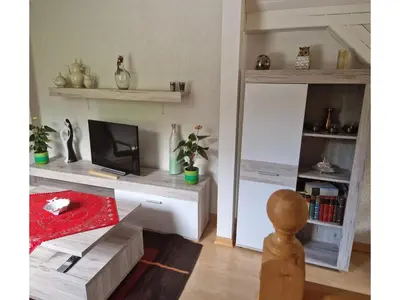 TV/Unterhaltungsangebot in der Unterkunft Gemütliches Ferienhaus mit Pool in Blankenburg