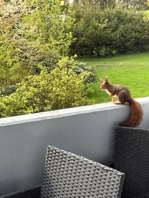Ein Garten an der Unterkunft FeWo Harz Oase - Wäschepakete inklusive - Blick ins Grüne