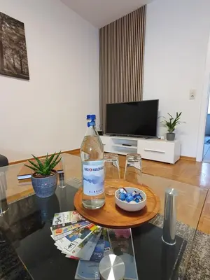 TV/Unterhaltungsangebot in der Unterkunft Apartments am Berg