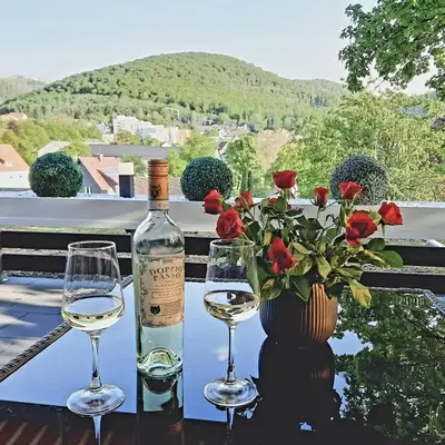 Bergliebe 5 mit großer Terrasse