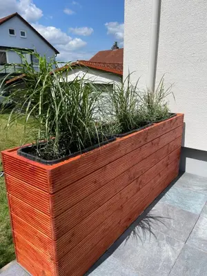Ein Garten an der Unterkunft Finkennest Bad Harzburg