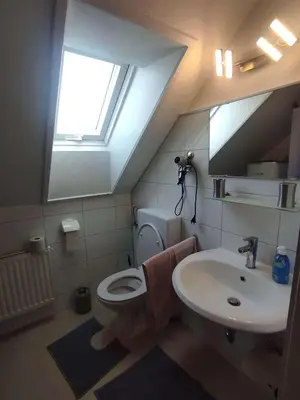Ein Badezimmer in der Unterkunft Ferienwohnung Harz de Luchs