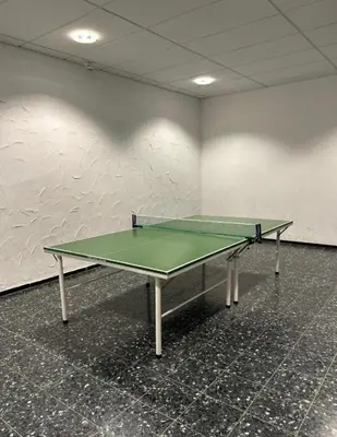 Tischtennis in der Unterkunft Forst & Flair Apartment oder in der Nähe