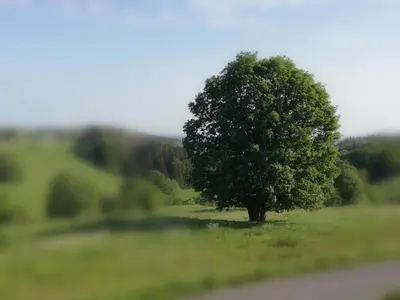 Naturlandschaft in der Nähe der Ferienwohnung