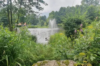 Naturlandschaft in der Nähe der Ferienwohnung