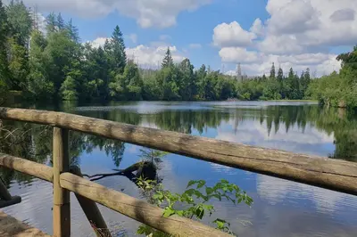 Naturlandschaft in der Nähe der Ferienwohnung