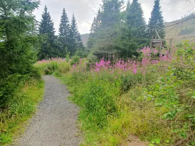 Naturlandschaft in der Nähe der Ferienwohnung