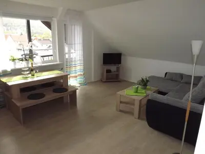TV/Unterhaltungsangebot in der Unterkunft Torfhaus-Blick