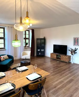 TV/Unterhaltungsangebot in der Unterkunft Harz Huus Apartment 