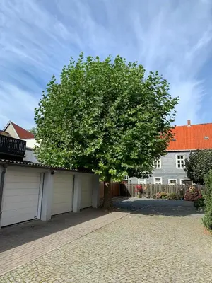 Das Gebäude in dem sich die Ferienwohnung befindet