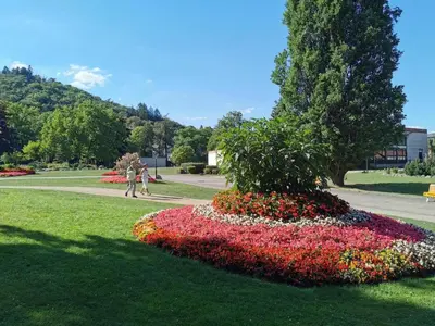 Ein Garten an der Unterkunft Ferienwohnung Kuschelplatz