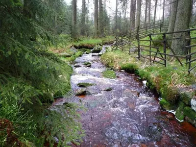 Naturlandschaft in der Nähe des Ferienhauses