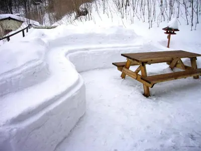 Das Eulennest im Winter