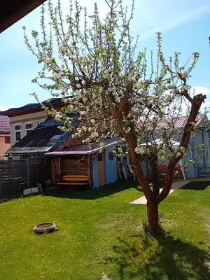 Ein Garten an der Unterkunft Lucy 1