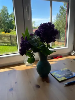 Ein Garten an der Unterkunft Lebensfreude