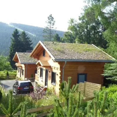 Harz - Blockhaus mit Sauna und Kamin