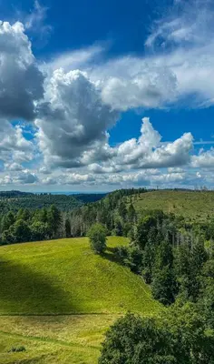 Naturlandschaft in der Nähe der Ferienwohnung