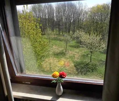 Ein Garten an der Unterkunft Ferienwohnung Schneemann