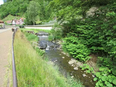 Naturlandschaft in der Nähe der Ferienwohnung