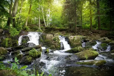 Naturlandschaft in der Nähe des Ferienhauses