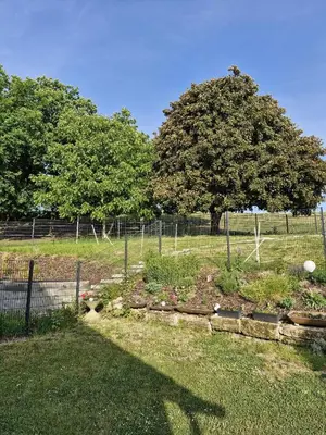 Ein Garten an der Unterkunft Ferienhaus Alpakahof Goslar