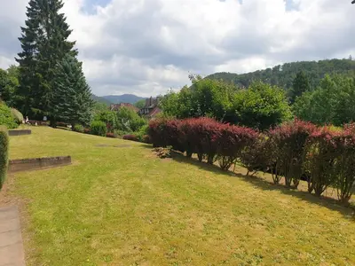 Naturlandschaft in der Nähe der Ferienwohnung