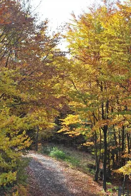 Naturlandschaft in der Nähe der Ferienwohnung