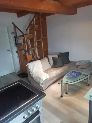Ein Sitzbereich in der Unterkunft Im Harzer Vogelnest Meisennest