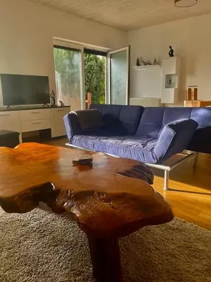 TV/Unterhaltungsangebot in der Unterkunft Ferienhaus Harzseele