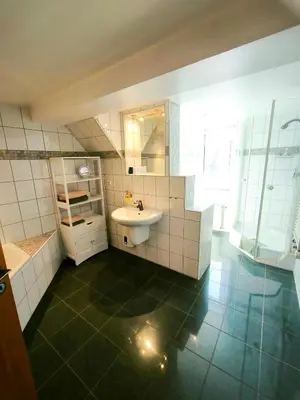 Ein Badezimmer in der Unterkunft Die Brockenstube