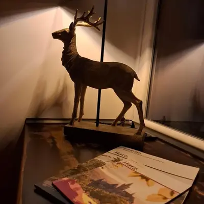 Tiere in der Ferienwohnung oder in der Nähe