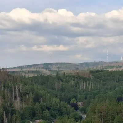 Naturlandschaft in der Nähe der Ferienwohnung