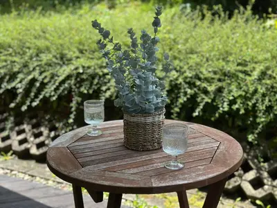 Ein Garten an der Unterkunft Harzzeit