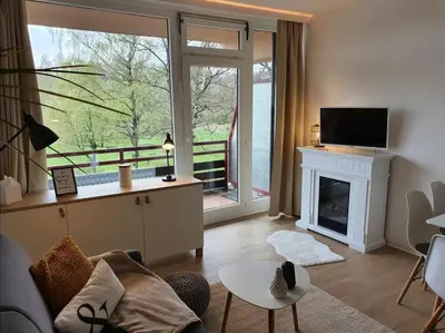 TV/Unterhaltungsangebot in der Unterkunft Lake Lodge am Kranichsee - Hahnenklee im Harz