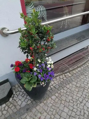 Ein Garten an der Unterkunft An der Bode
