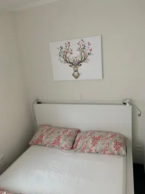 Ein Bett oder Betten in einem Zimmer der Unterkunft Harzer Nest