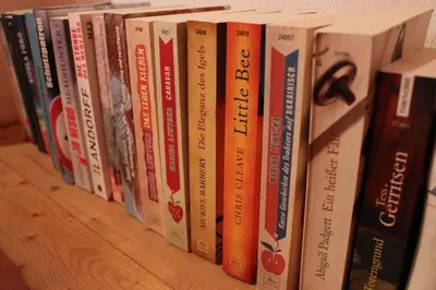 Die Bibliothek im Ferienhaus
