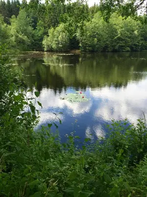 Naturlandschaft in der Nähe der Ferienwohnung