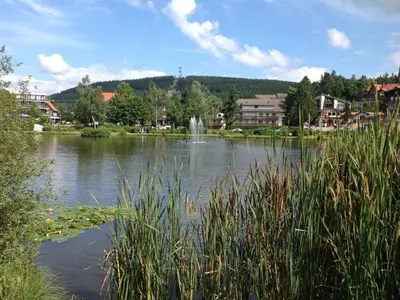 Naturlandschaft in der Nähe der Ferienwohnung