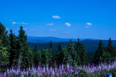Naturlandschaft in der Nähe des Ferienhauses