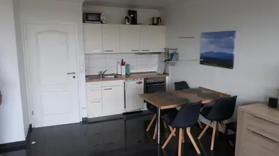 Küche/Küchenzeile in der Unterkunft Apartment Weitsicht mit Pool & Sauna