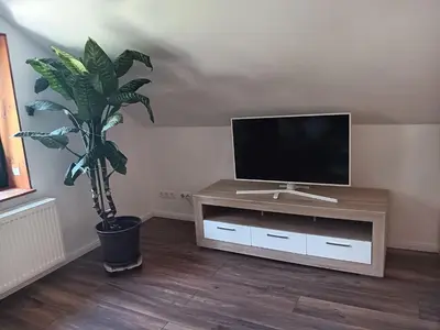 TV/Unterhaltungsangebot in der Unterkunft Ferienwohnung Harzteufel